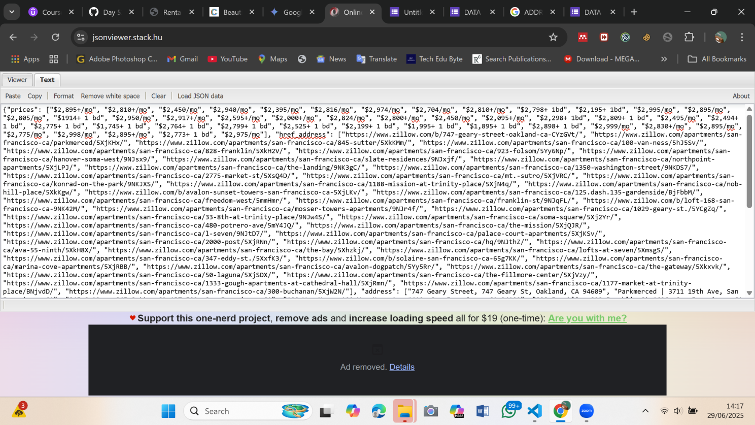 Automation Data Entry Project